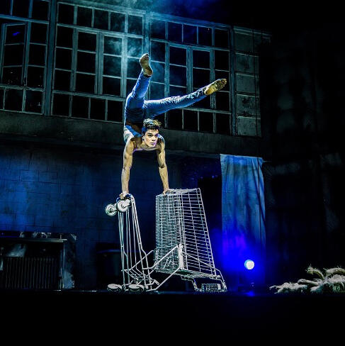 hand balancer contortion circus cabaret