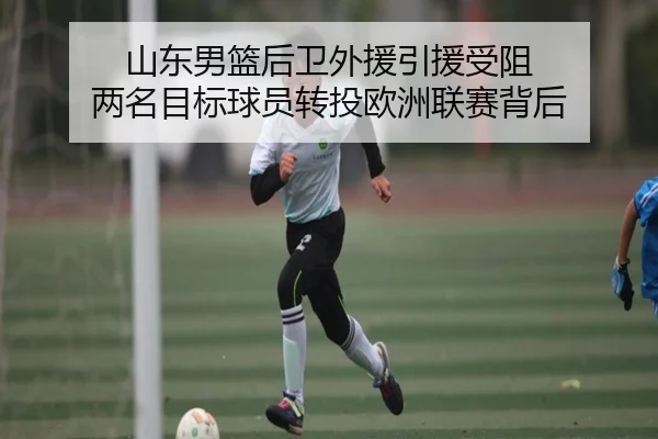 山东男篮后卫外援引援受阻 两名目标球员转投欧洲联赛背后