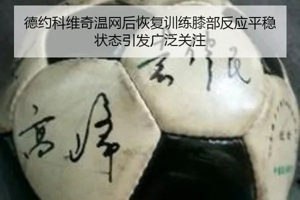 德约科维奇温网后恢复训练膝部反应平稳状态引发广泛关注